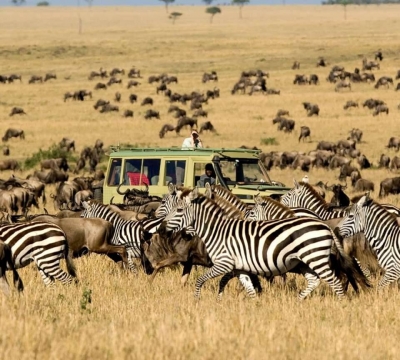 Du lịch Kenya 7 ngày giá tốt
